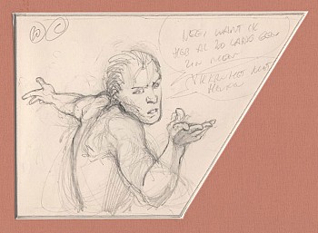 Originele tekening: Stuifmeel (pagina 13)