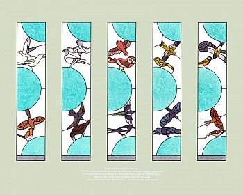 Birds around the house