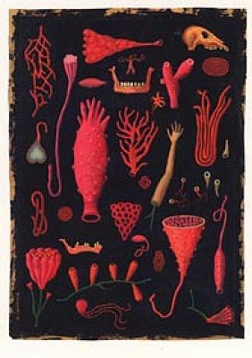 Martin Jarrie