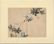 Japanse Aquarel