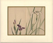 Japanse Aquarel