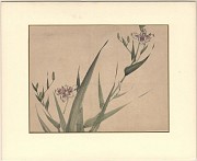 Japanse Aquarel