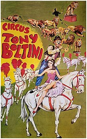 Circus Tony Boltini